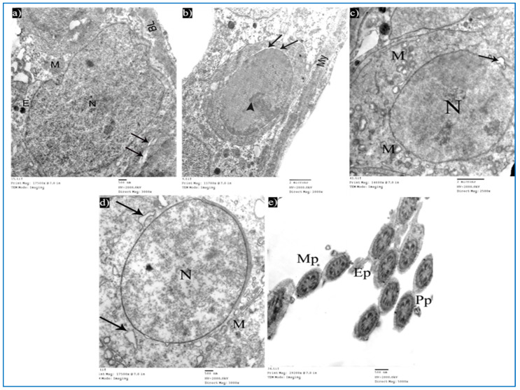 Figure 15