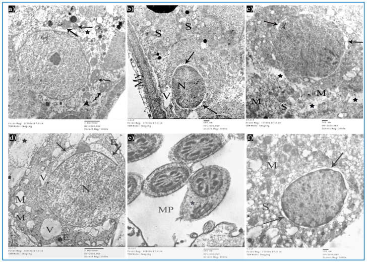 Figure 13