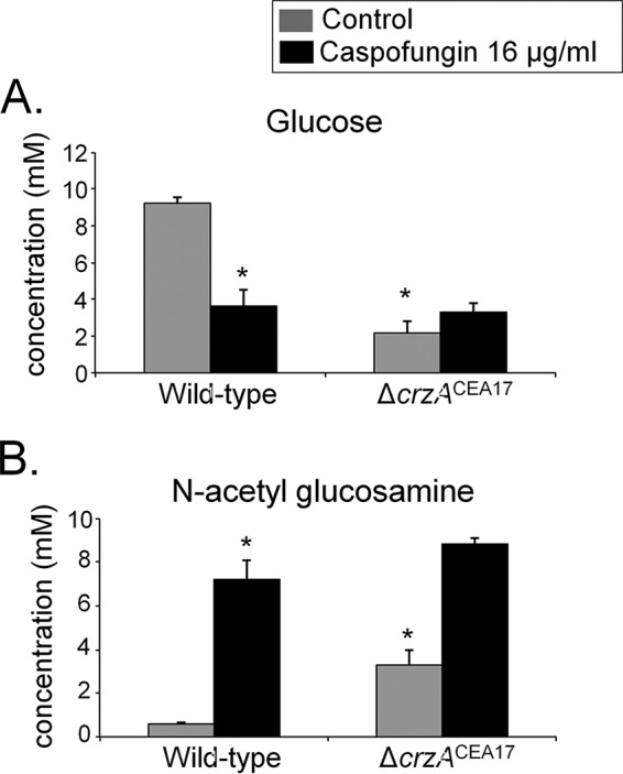 FIG 4 