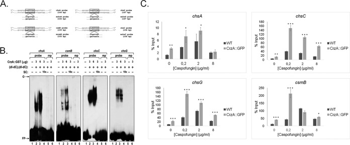 FIG 3 