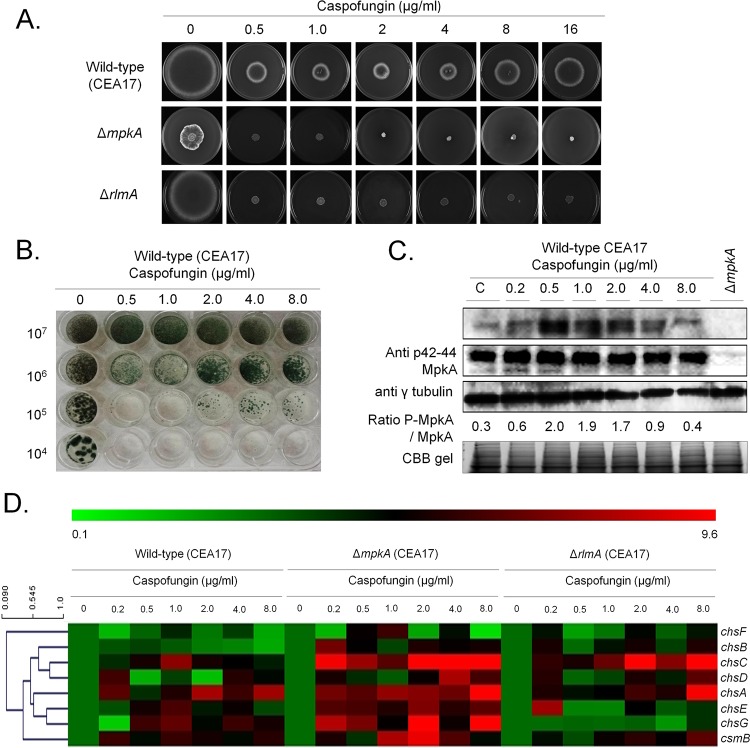 FIG 1 