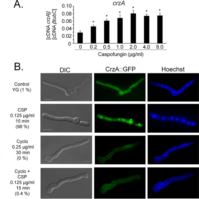 FIG 2 