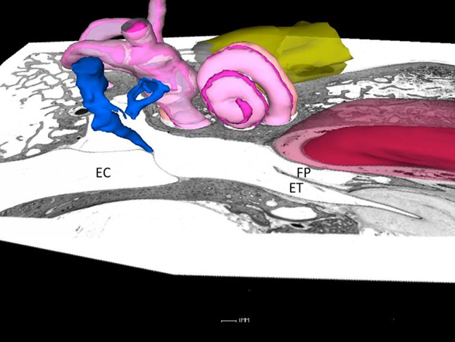 Fig. 5