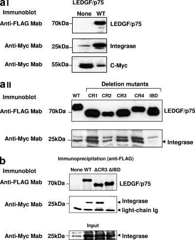 FIG. 6.