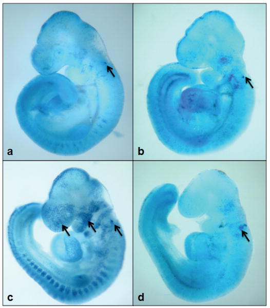 Figure 7