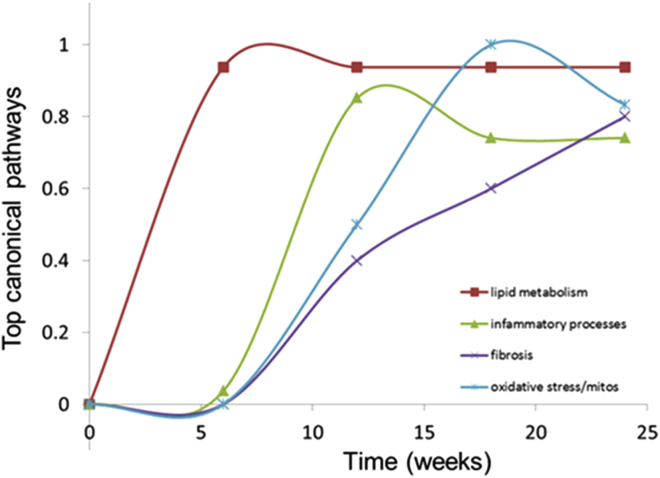 Figure 6