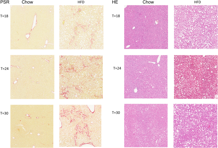 Figure 3