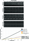 Figure 2—figure supplement 1.