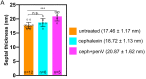 Figure 4—figure supplement 2.