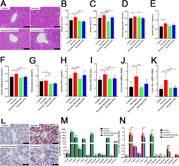 FIG 6