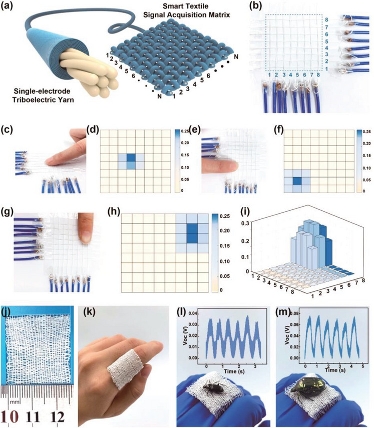 Figure 20