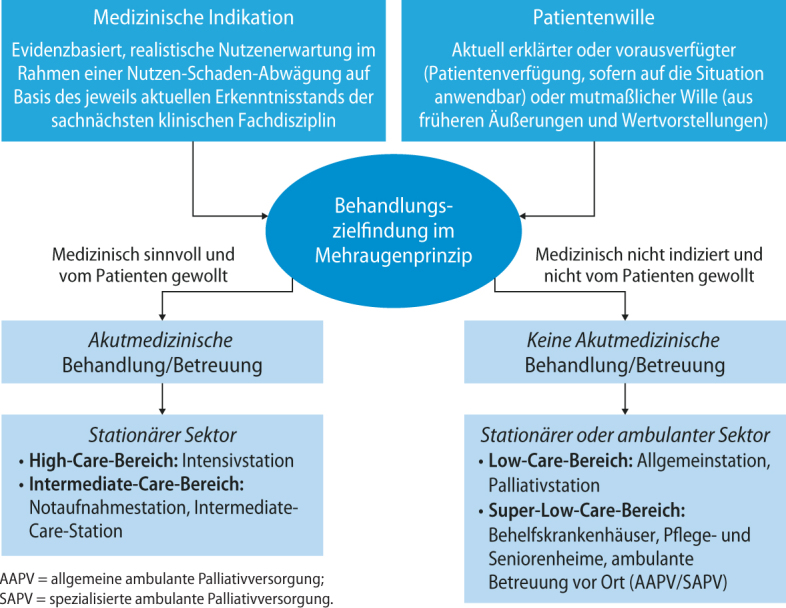 graphic file with name 15006_2020_477_Fig3_HTML.jpg