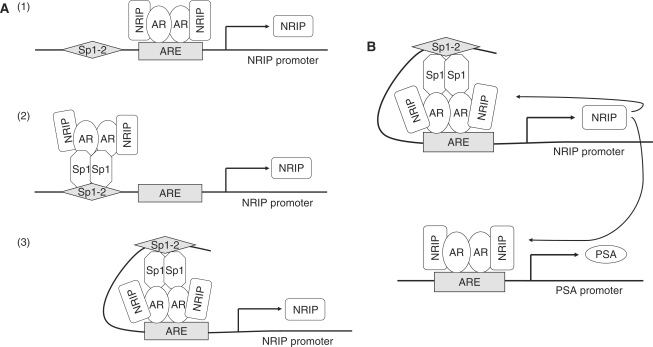 Figure 7.