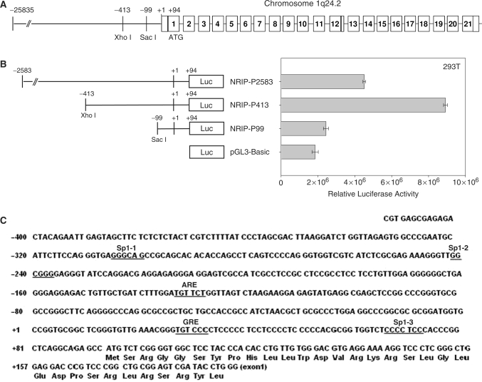 Figure 1.