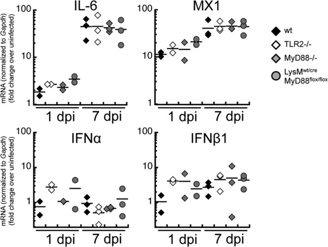 FIG 4