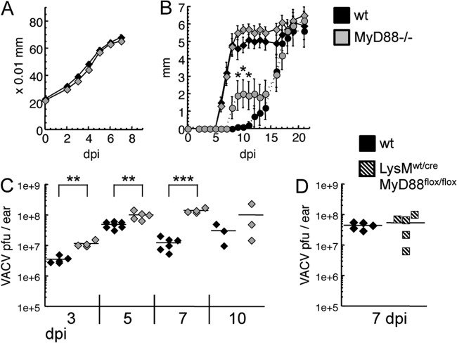 FIG 8