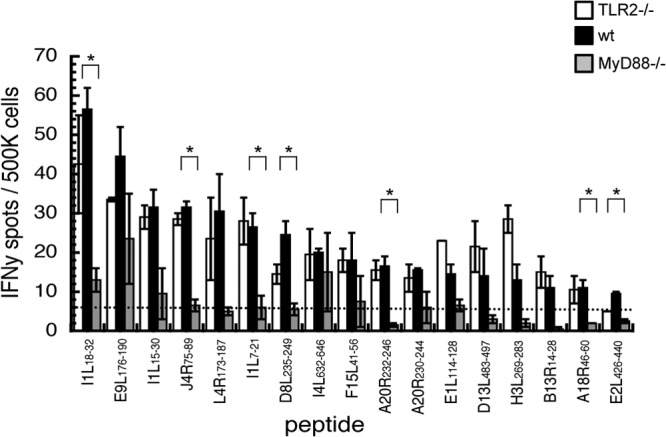 FIG 6