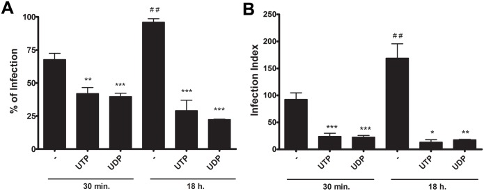 Fig 8