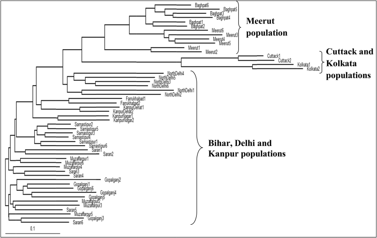 Fig. 3