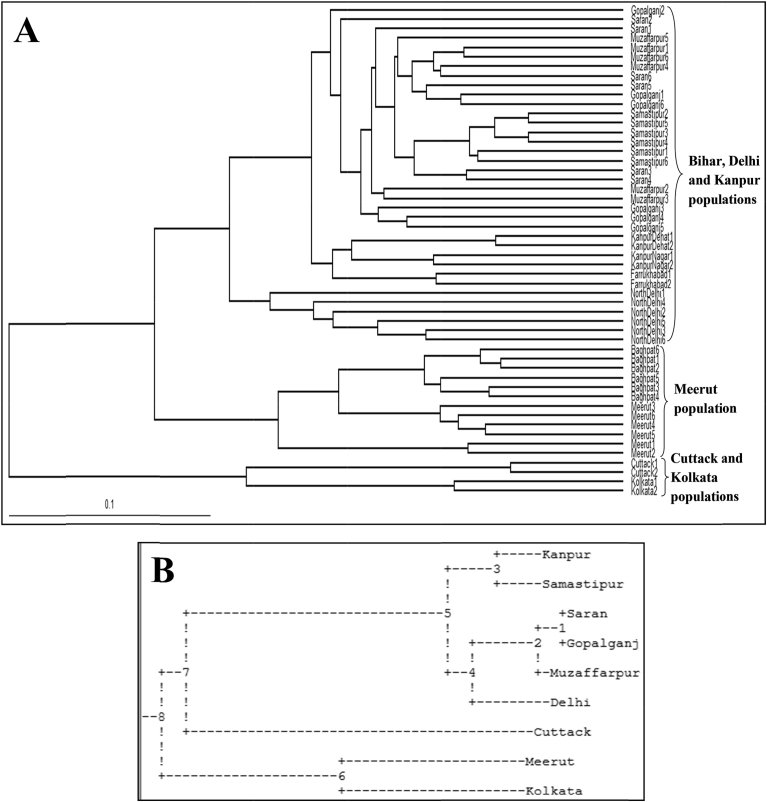 Fig. 2