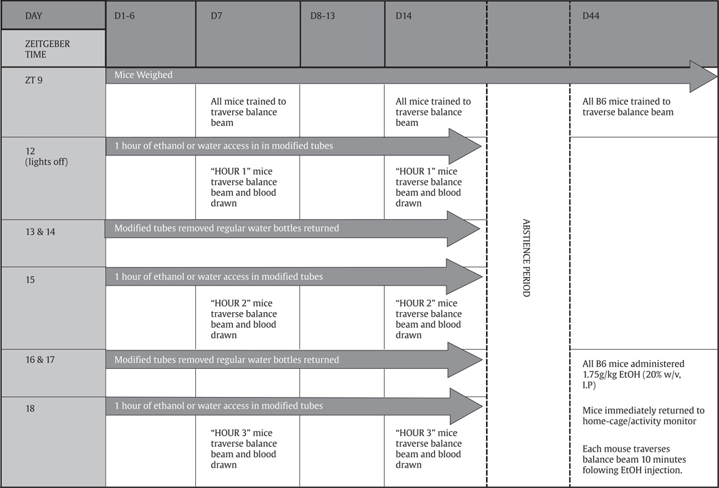 graphic file with name nihms436401t1.jpg