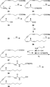 Scheme 6