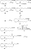 Scheme 5