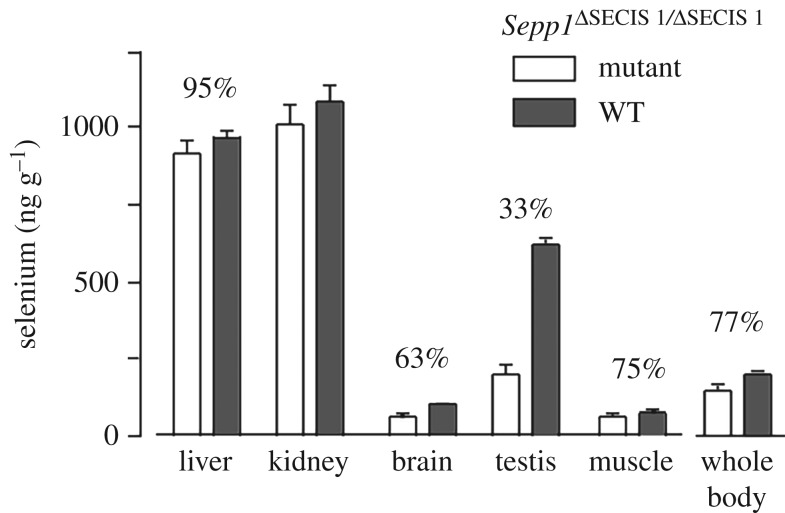 Figure 7.