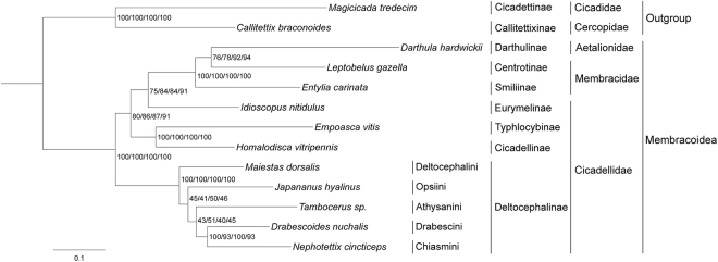 Figure 6