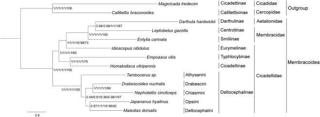 Figure 7