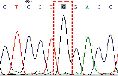 Figure 6