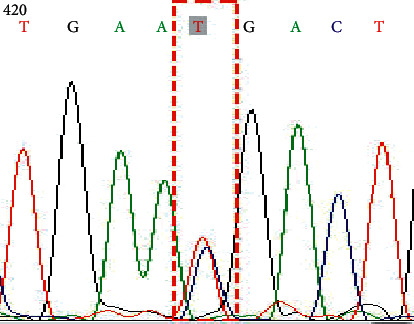 Figure 5