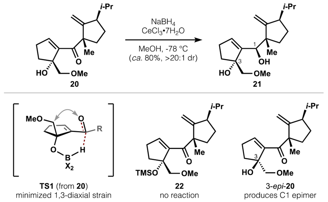 Scheme 4.