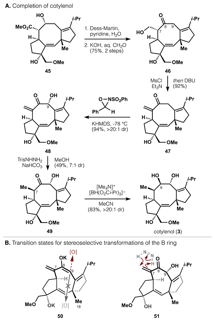 Scheme 9.