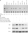 FIG. 8.