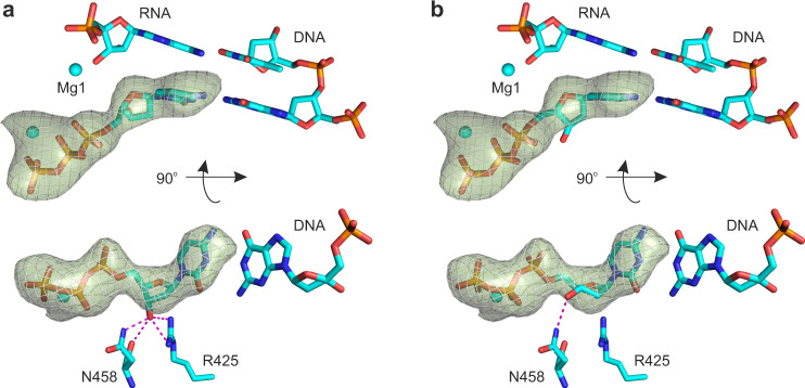 Fig. 6