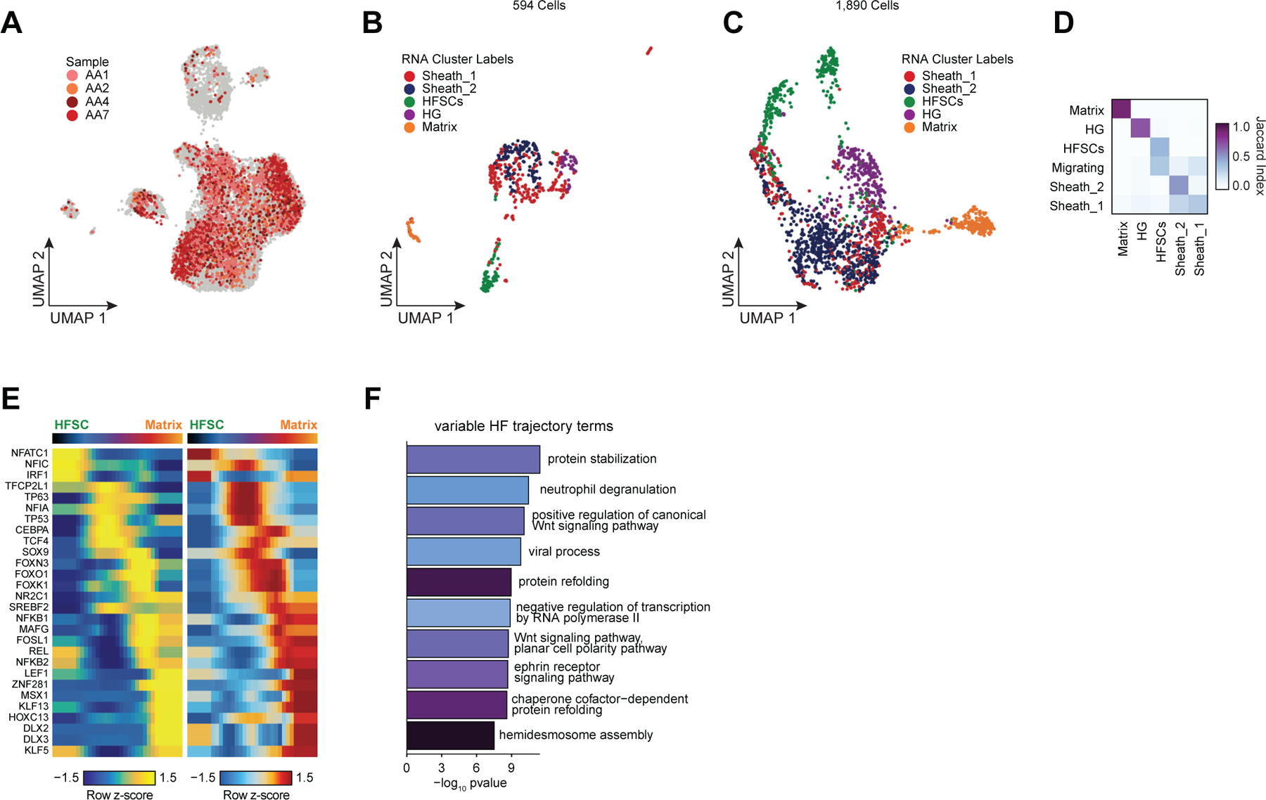 Extended Data Fig. 7 |