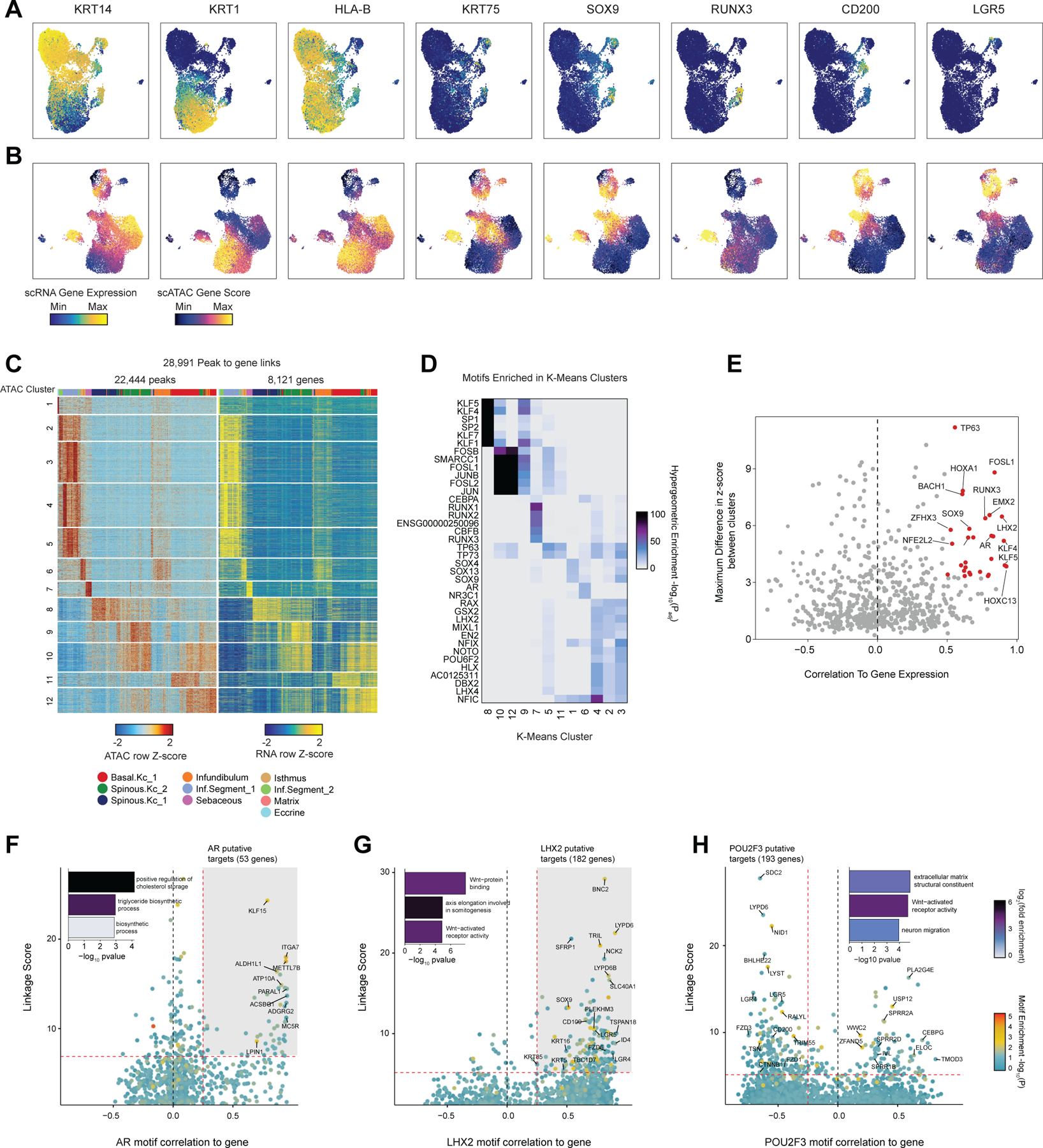 Extended Data Fig. 6 |