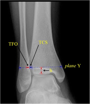 Fig. 6