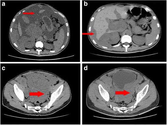 Fig. 4