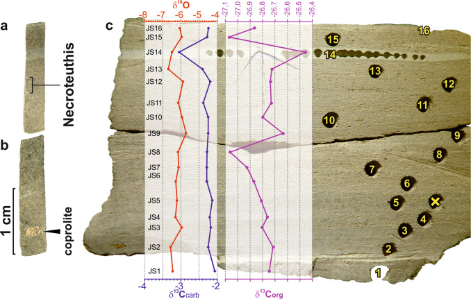 Fig. 5