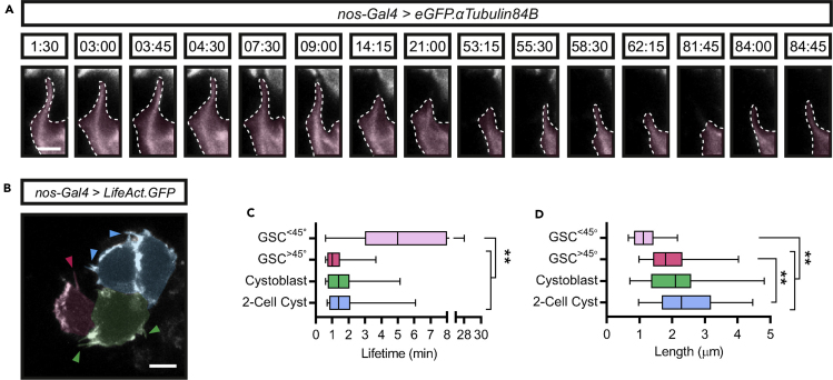 Figure 3