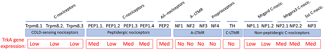 Fig 1.