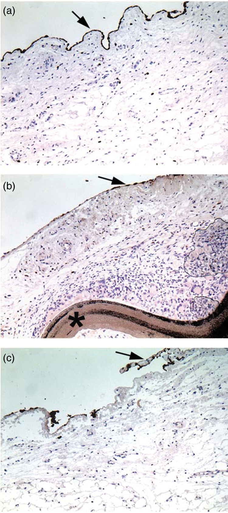 Figure 3: