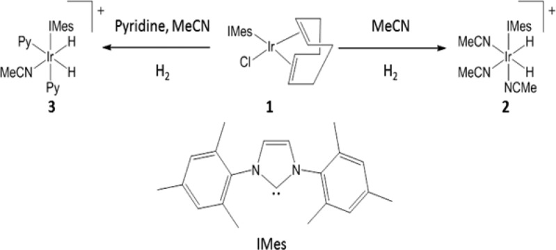 Scheme 2