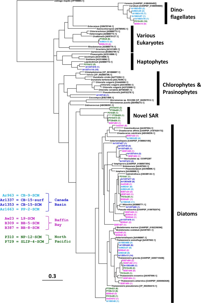 FIG 4