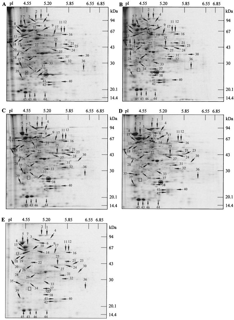 FIG. 3