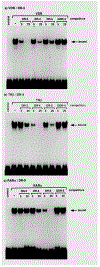Figure 9.