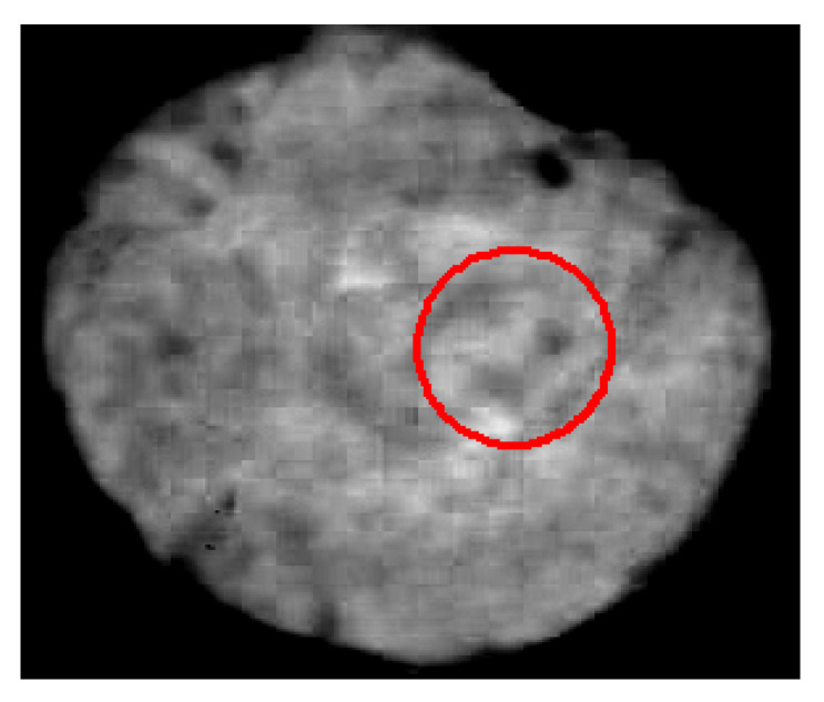 Figure 11