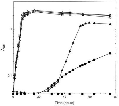 FIG. 6